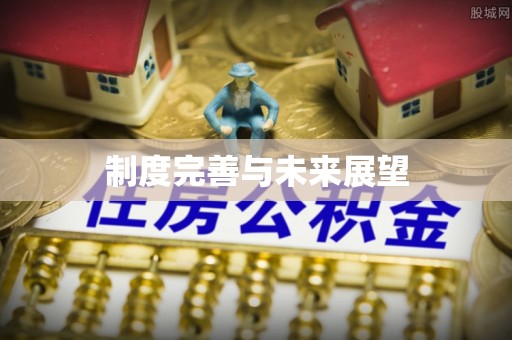 信丰制度完善与未来展望