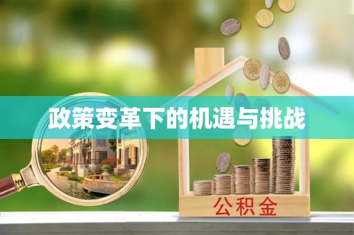 信丰政策变革下的机遇与挑战